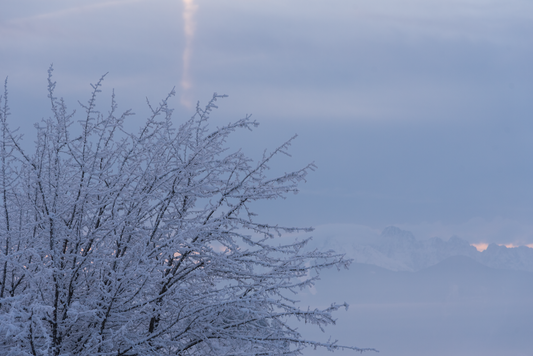 Morgenimpressionen im Gailtal